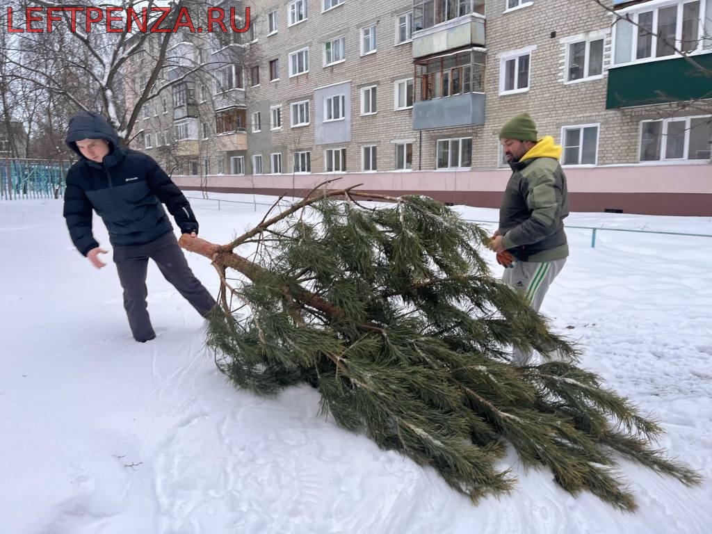 LEFTPENZA - Активисты Левого Фронта привезли ёлки во дворы на Западной  Поляне и в Военном городке