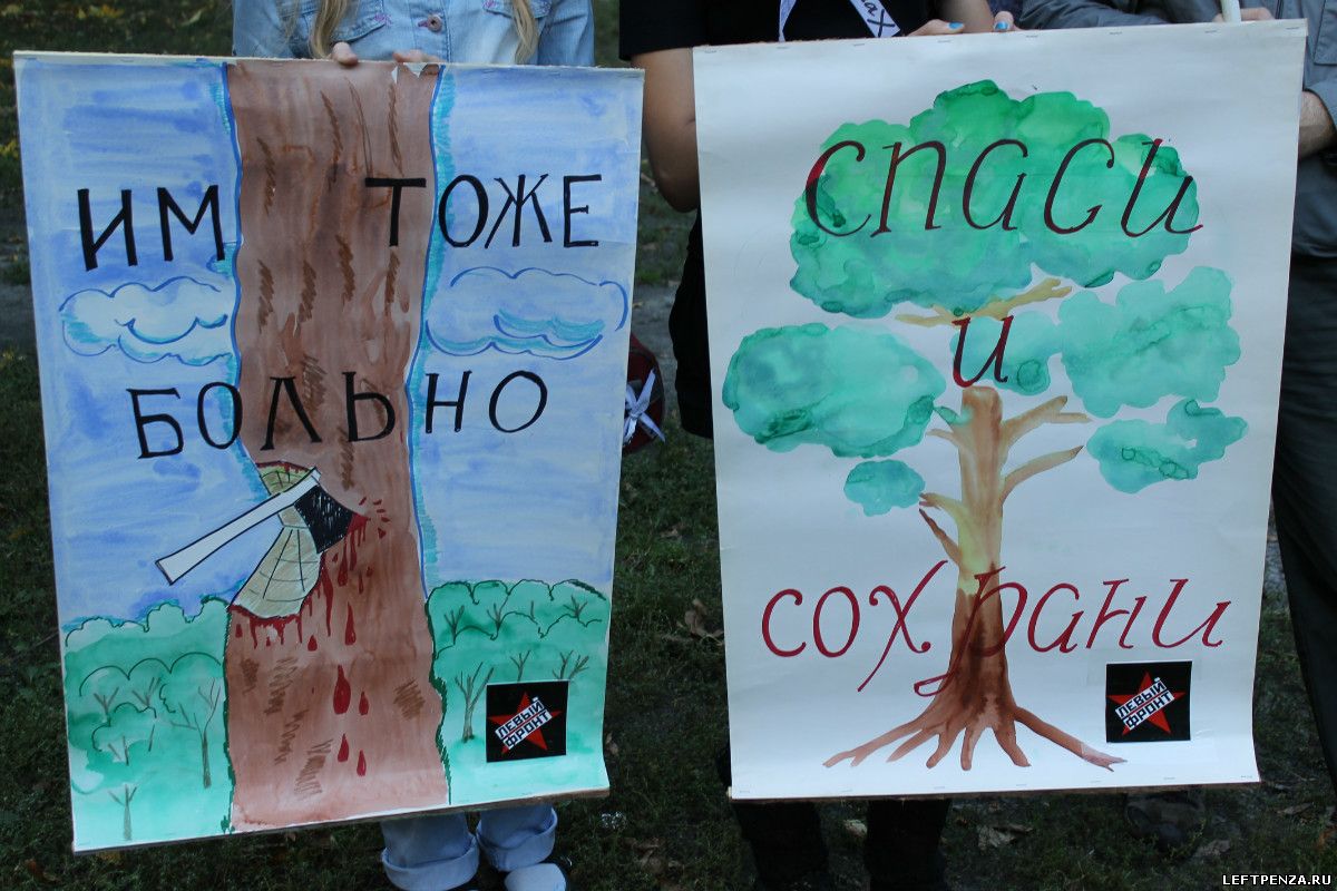 Охрана леса от вырубки. Плакат против вырубки лесов. Плакат Спасите лес. Плакат на тему защита леса от вырубки. Экологический плакат.